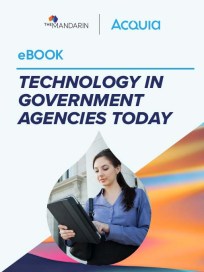 eBook: Technology In Government Agencies Today