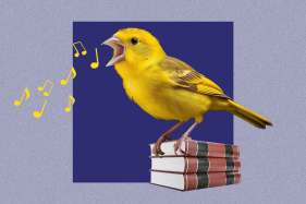 Giant canary sings of public-service lawyers