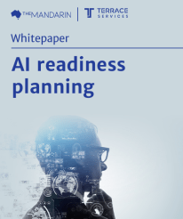 Whitepaper: AI readiness planning